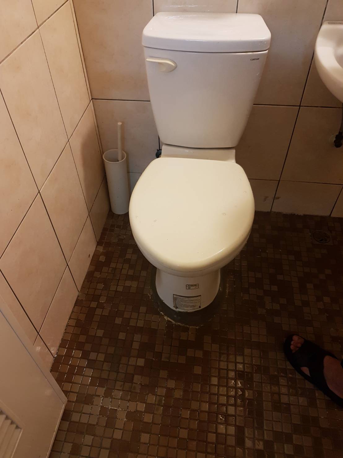 某住家的廁所堵塞